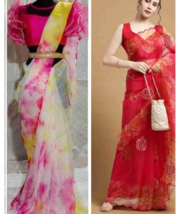 ऑर्जेंजा साड़ी ( organza saree )