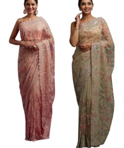 Net saree design