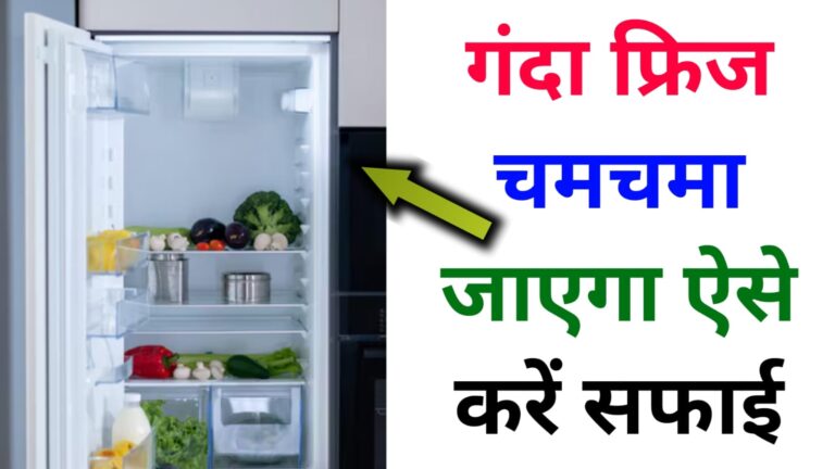 Fridge Cleaning Tips in hindi