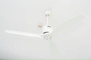 Fan Cleaning