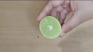 क्या क्या चाहिए होगा